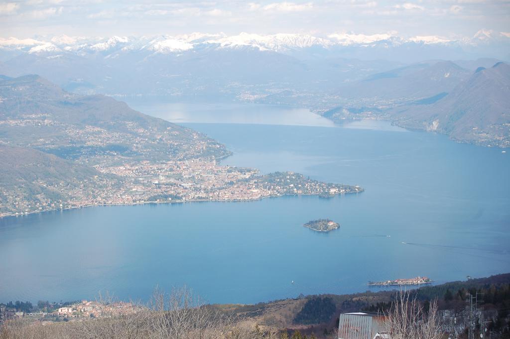 Gli Oleandri *